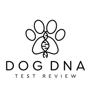 best dna test for dogs Yarraville 1
